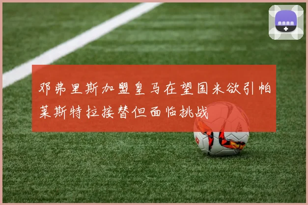 邓弗里斯加盟皇马在望国米欲引帕莱斯特拉接替但面临挑战